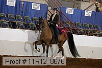 11r12_8676 thumbnail