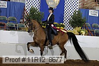 11r12_8677 thumbnail
