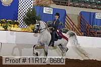 11r12_8680 thumbnail