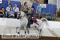 11r12_8682 thumbnail