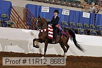 11r12_8683 thumbnail
