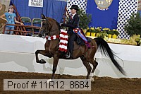 11r12_8684 thumbnail