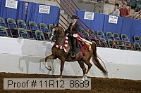 11r12_8689 thumbnail