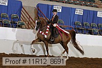 11r12_8691 thumbnail