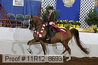 11r12_8693 thumbnail