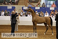 11r12_8774 thumbnail