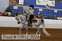 11r12_9224 thumbnail