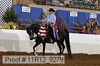11r12_9279 thumbnail