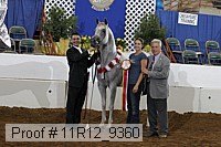 11r12_9360 thumbnail