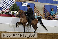 11r12_9591 thumbnail