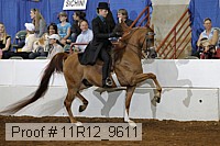 11r12_9611 thumbnail