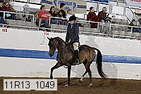 11r13_1049 thumbnail