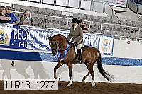11r13_1277 thumbnail