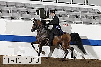11r13_1310 thumbnail