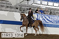 11r13_1314 thumbnail