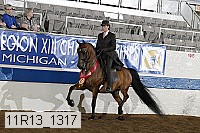 11r13_1317 thumbnail
