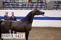 11r13_1421 thumbnail
