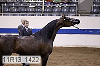 11r13_1422 thumbnail