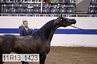 11r13_1423 thumbnail