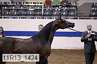11r13_1424 thumbnail