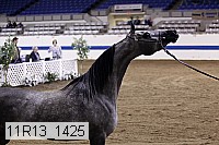 11r13_1425 thumbnail