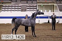 11r13_1426 thumbnail