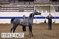11r13_1427 thumbnail