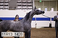 11r13_1428 thumbnail