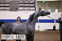11r13_1429 thumbnail