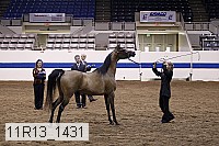 11r13_1431 thumbnail