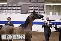 11r13_1432 thumbnail