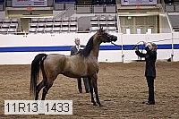 11r13_1433 thumbnail
