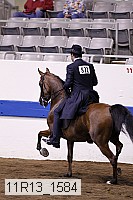 11r13_1584 thumbnail