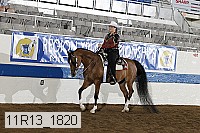 11r13_1820 thumbnail
