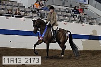 11r13_2173 thumbnail