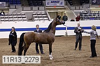 11r13_2279 thumbnail