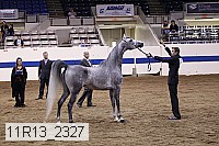 11r13_2327 thumbnail