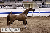 11r13_2346 thumbnail