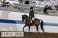 11r13_2530 thumbnail