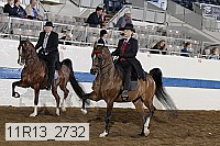 11r13_2732 thumbnail