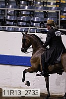 11r13_2733 thumbnail