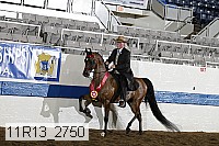 11r13_2750 thumbnail