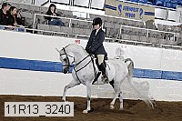 11r13_3240 thumbnail