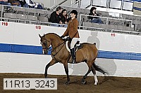 11r13_3243 thumbnail