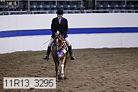 11r13_3295 thumbnail