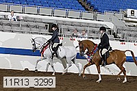 11r13_3299 thumbnail