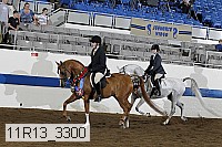 11r13_3300 thumbnail
