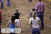 11r13_3894 thumbnail