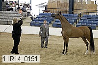 11r14_0191 thumbnail
