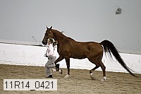11r14_0421 thumbnail